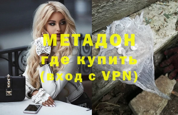 прущие грибы Михайловск
