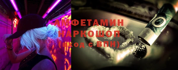 прущие грибы Михайловск