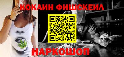 гидра Гатчина