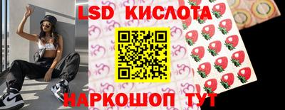 гидра Гатчина
