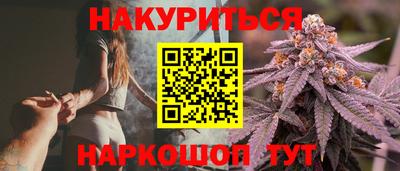 гидра Гатчина