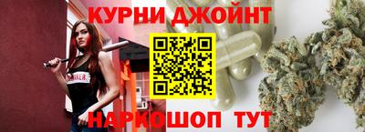 гидра Гатчина