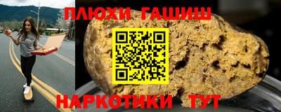 гидра Гатчина