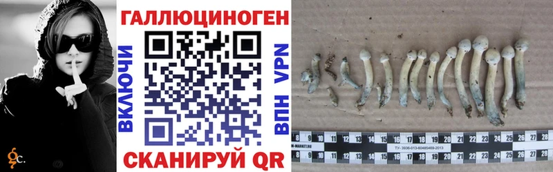 Галлюциногенные грибы ЛСД Ипатово