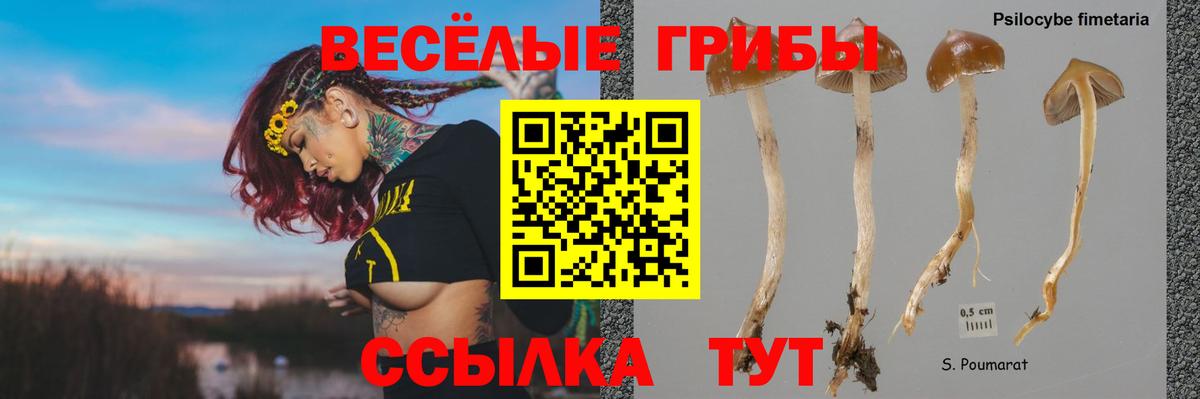 Псилоцибиновые грибы MAGIC MUSHROOMS  Вход с VPN  Ипатово 